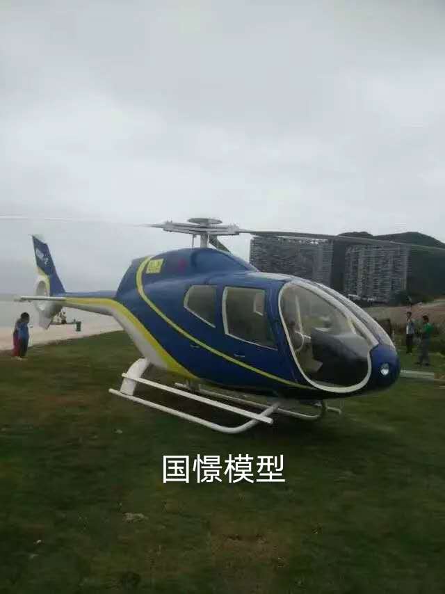 合江县飞机模型